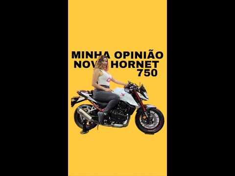 Leia mais sobre o artigo NOVA HORNET 750: MINHA OPINIÃO