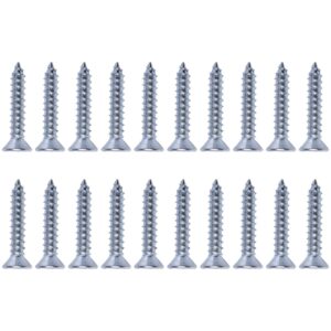 Parafuso Cabeça Chata Zincado 2,8X16Mm 20 Peças Worker