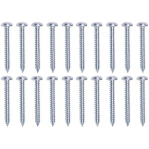 Parafuso Autoatarraxante 3,9 X 32Mm 20 Peças Worker