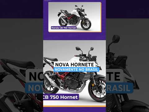 Leia mais sobre o artigo Hornet de volta ao Brasil #hornet #motos #moto