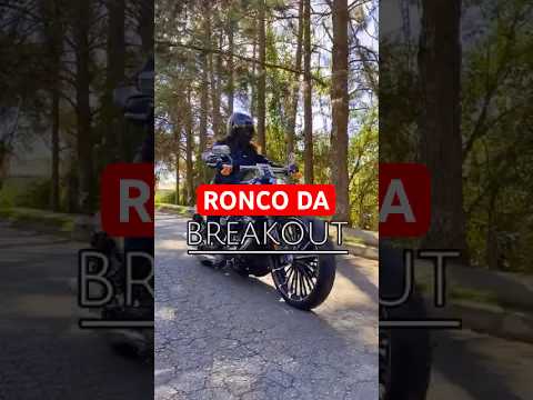 Leia mais sobre o artigo Olha só o ronco dessa custom! #harleydavidson #motocustom #moto