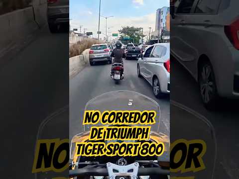Leia mais sobre o artigo No CORREDOR de Triumph Tiger Sport 800 🫣 – DESEMPENHO #moto #triumph #triumphtiger800