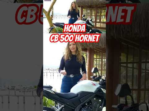 Leia mais sobre o artigo HORNET VOLTA AO BRASIL #honda #hornet