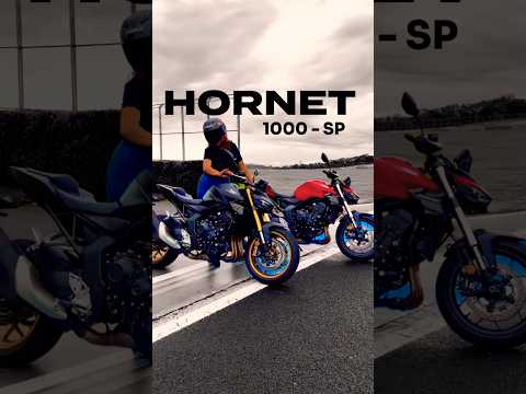 Leia mais sobre o artigo NOVA HONDA CB1000 HORNET SP: QUE MÁQUINA! – RONCO #honda #moto #cb1000